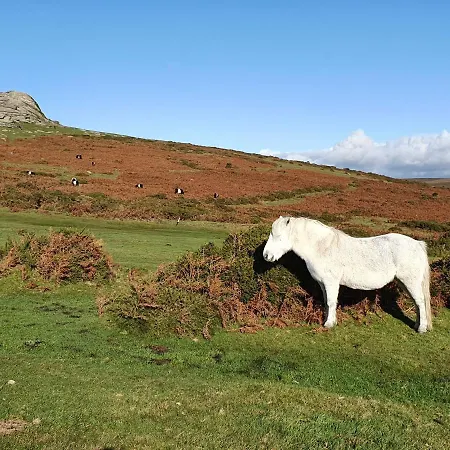 The Sett - The Cottages At Blackadon Farm Wrangaton Exterior foto